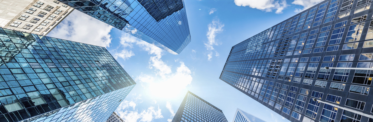 [Divider] [Management report] Blue sky and buildings